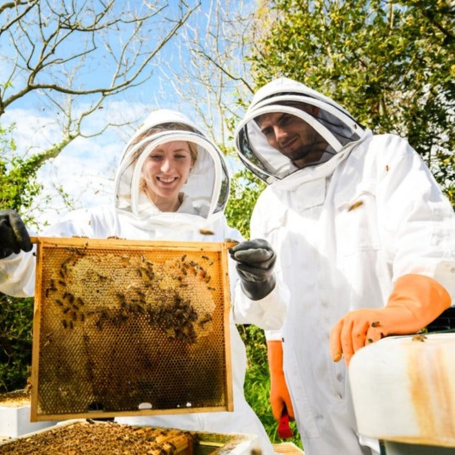 ADOPT A HIVE FOR FLOOD RECOVERY (WE MANAGE IT ON OUR LANDS - YOU GET HONEY BACK)